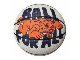 Basketball ball NIKE EVERYDAY PLAYGROUND 8P GRAPHIC DEFLATED light BONE/NAVY/BLACK/orange size 7