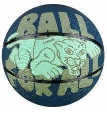 Basketball ball Nike EVERYDAY PLAYGROUND 8P GRAPHIC DEFLATED BLUE/ALLIGATOR/BLACK/GREEN size 5