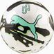 М'яч футбольний Puma Neymar JR Graphic Ball білий, чорний, м'ятний Уні 4 085023-01 фото 2