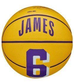М'яч баскетбольний Wilson NBA PLAYER ICON MINI BSKT LEBRON size 3 WZ4007201XB3 фото