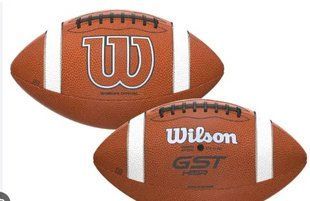 М'яч для американського футболу Wilson GST SPEEDSKIN HEIR WOMEN'S OFFICIAL YH WF1006401XBYH фото