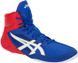Борцовки Asics Cael V8.0 &lrm;1081A002.400 фото 1