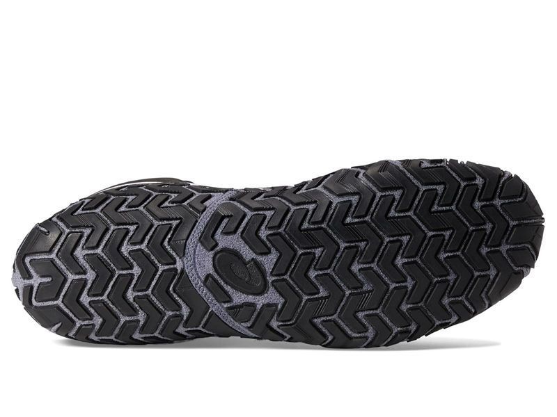Борцівки ASICS Aggressor 5 р39 (25см) чорні 1081A048_001 фото