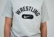 Детская футболка Nike Wrestling Disc Dri-FIT размер YM серая (APS366-017) APS366-017 фото 2