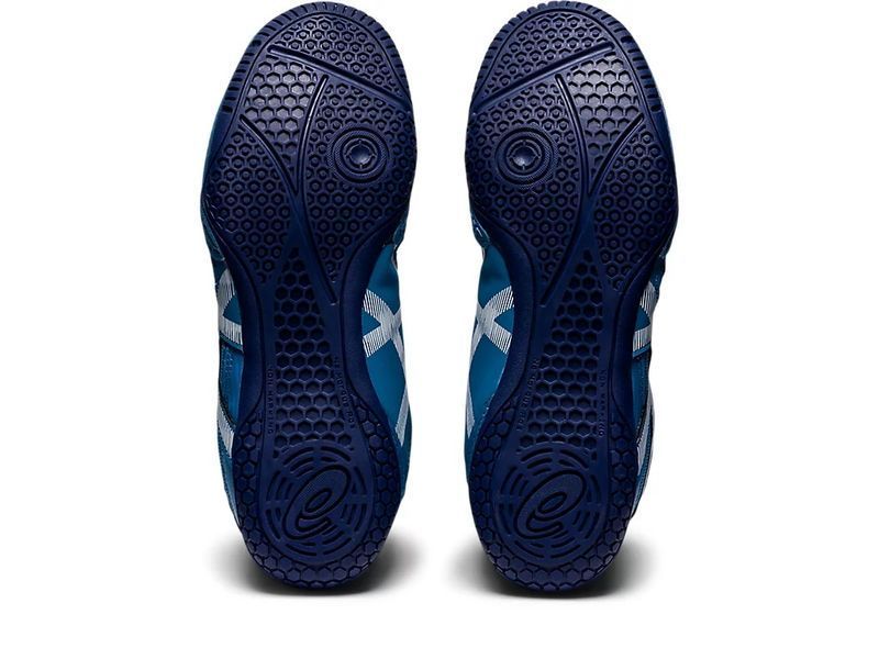 Борцовки ASICS MATCONTROL 2 р43.5 (27.5см) синие 1081A029-401 фото