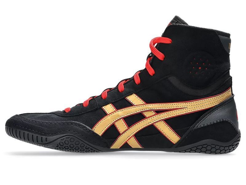 Борцівки ASICS Dan Gable Evo 3 р39.5 (25.5см) чорні (1081A052-002) 1081A052-002 фото
