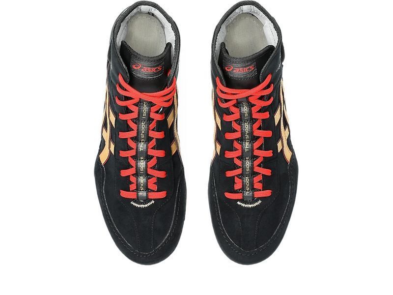 Борцівки ASICS Dan Gable Evo 3 р39.5 (25.5см) чорні (1081A052-002) 1081A052-002 фото