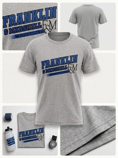 Franklin & Marshall Wrestling T-shirt size S gray (kgef38460)