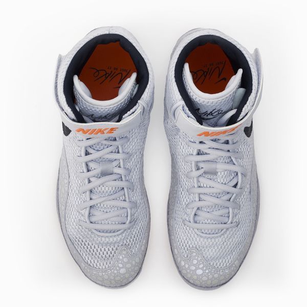 Борцовки NIKE Inflict SE р40.5 (25.5см) серые DJ4471-900 фото