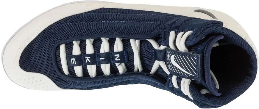 Борцівки NIKE Inflict 4 сині р.43 - 27.5см (HM9674-101) HM9674-101 фото