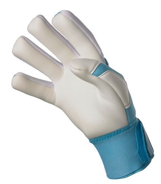 Рукавички воротарські Select Goalkeeper Gloves 33 Allround синій, білий Уні 8,5 (18.5см) 601331-410 фото