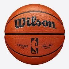 Wilson NBA Authentic series outdoor 285 size 5 basketball