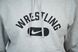 Флісова толстовка, худі Nike Wrestling Disc Club Fleece, розмір XL сіра (APS367-063) APS367-063 фото 2