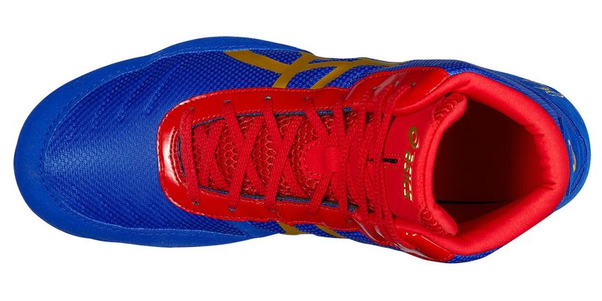 Борцовки ASICS JB ELITE V2.0 р44 (28см) сине-красные J501N_6094 фото