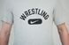 Футболка Nike Wrestling Disc Dri-FIT размер S серая (APS365-017) APS365-017 фото 3