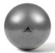 Фітбол Adidas Gymball сірий Уні 55 см ADBL-11245GR фото 1
