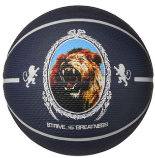 Basketball ball Nike PLAYGROUND 2.0 8P L JAMES DEFLATED PURPLE INK/PHANTOM/BLACK/PHANTOM size 7