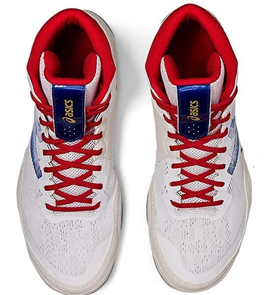 Борцовки ASICS JB ELITE IV 1081A016-102 фото